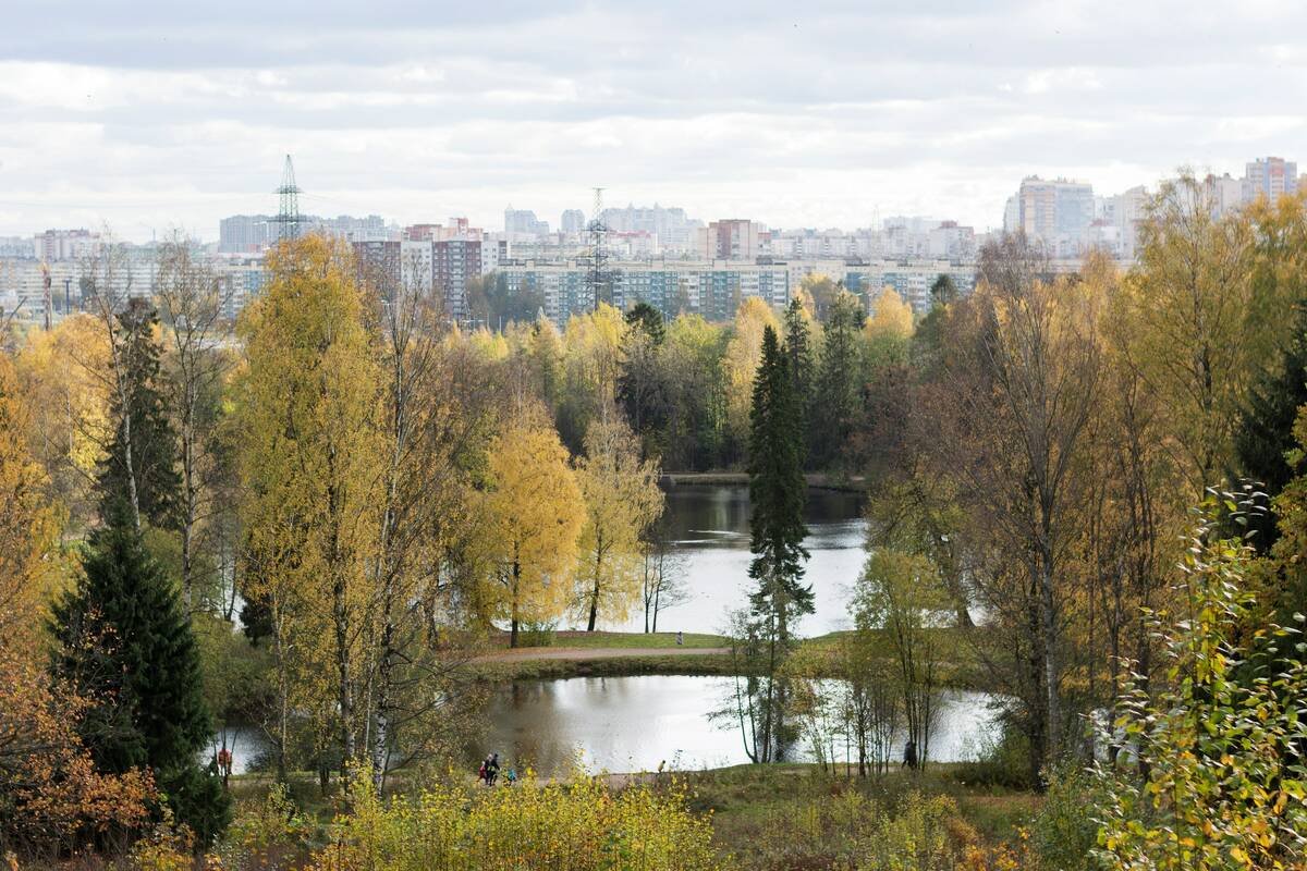 Нескончаемый конфликт в Петербурге: парки – застройщикам или горожанам? :  статья от 29 сентября 2023 | Novostroy.su