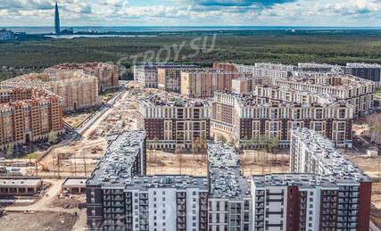 ЖК «Полис Приморский», Ход строительства, Август 2022, фото 5