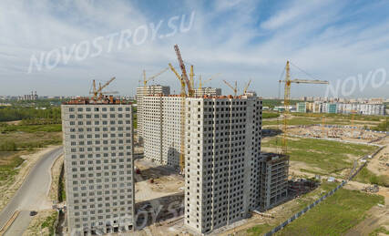 ЖК «Ручьи», Ход строительства, Июнь 2023, фото 2
