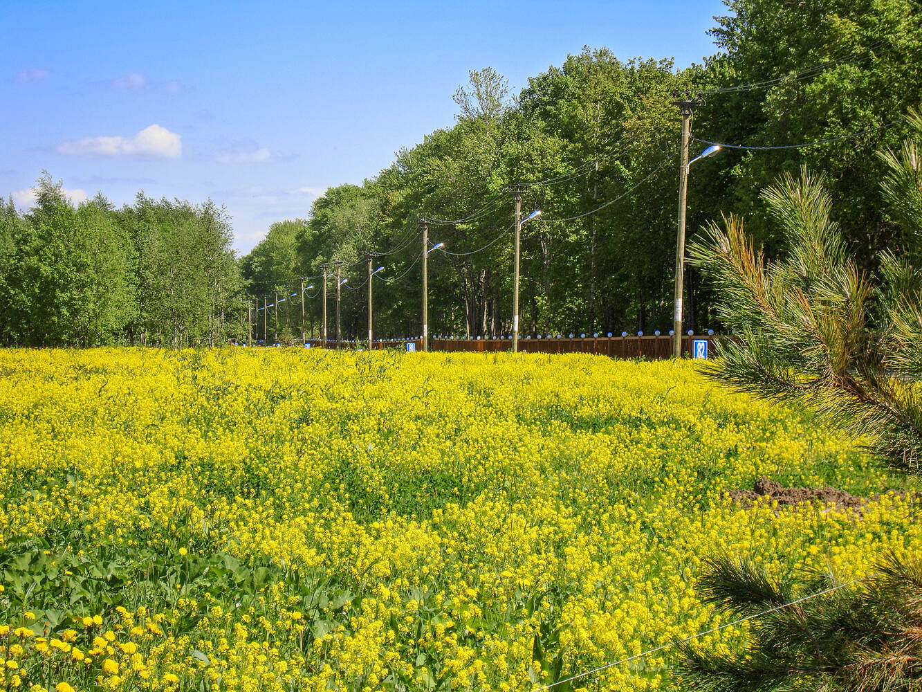 Лубенская долина карта