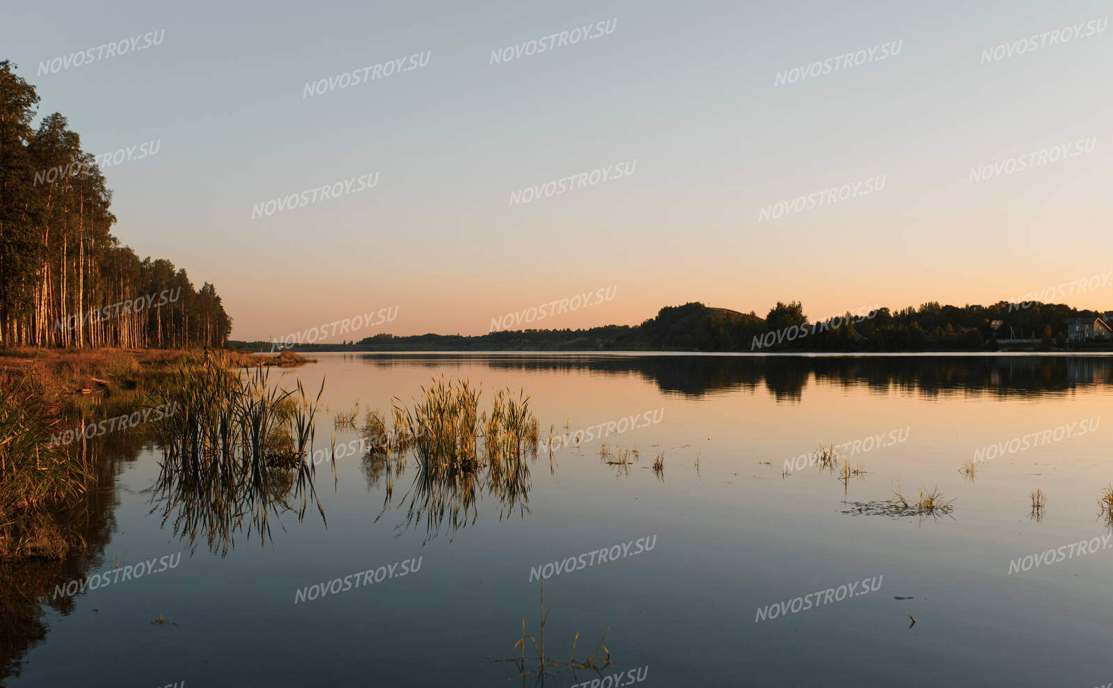 Пляж подсмотрел